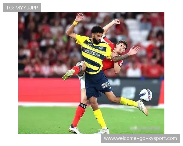 球员状态：神锋重返赛场后表现与射门效率分析，最佳阵容神锋射术